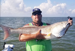 Massive Redfish From Texas